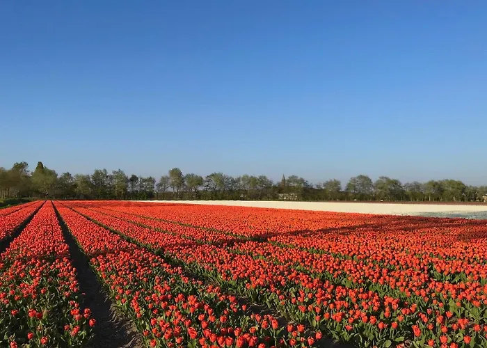 Riverside - Centre Апартаменты *