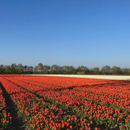 Riverside - Centre アパート *